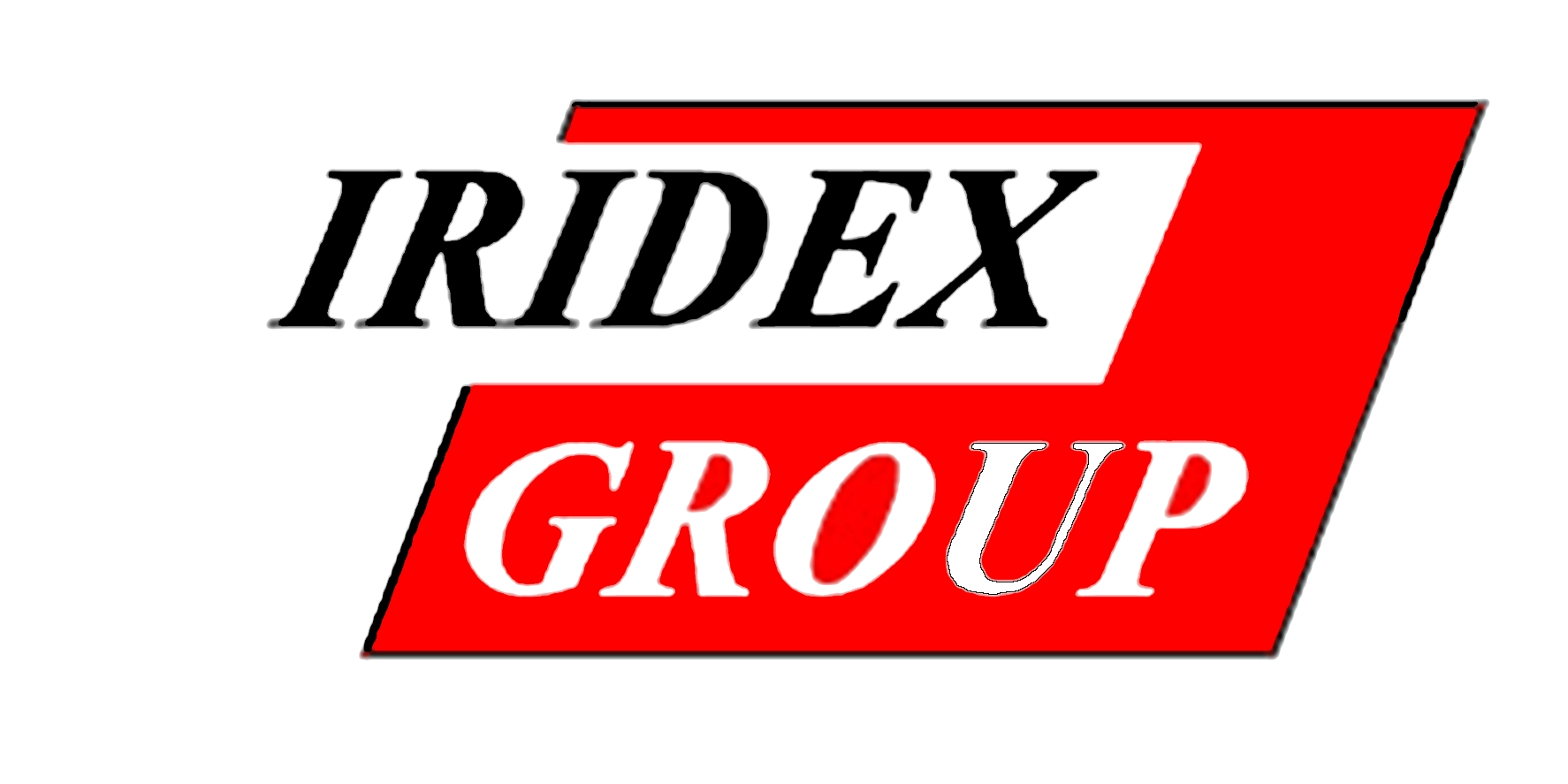 Logo iridex group